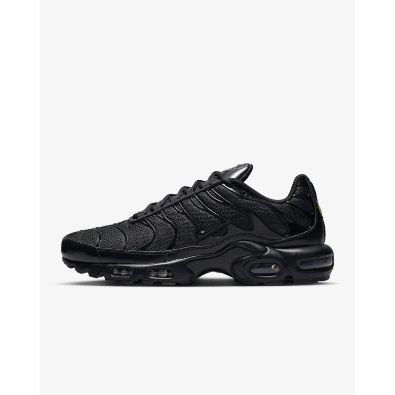 Nike Air Max Plus Triple Black  FB8479-001