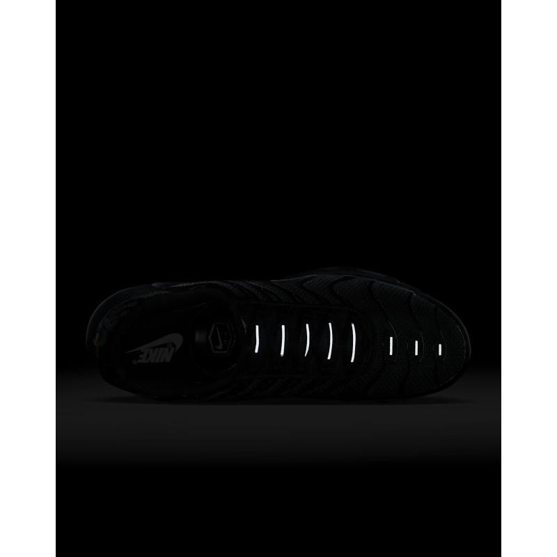 Nike Air Max Plus Triple Black  FB8479-001