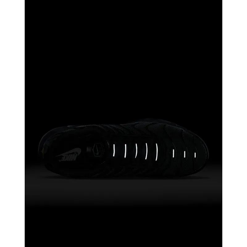 Nike Air Max Plus Triple Black  FB8479-001