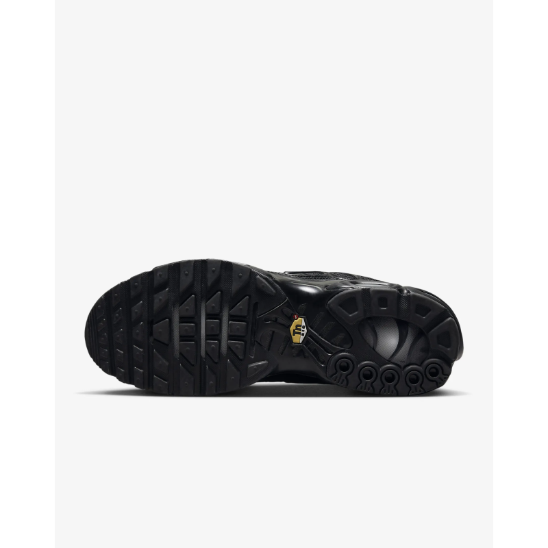 Nike Air Max Plus Triple Black  FB8479-001