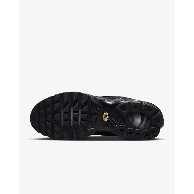 Nike Air Max Plus Triple Black  FB8479-001