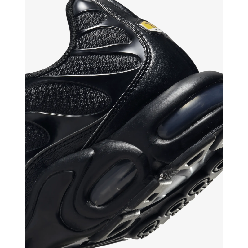 Nike Air Max Plus Triple Black  FB8479-001