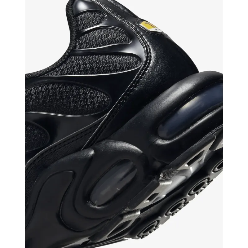 Nike Air Max Plus Triple Black  FB8479-001