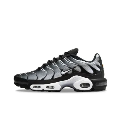 Nike Air Max Plus Black Silver White DM0032-003 01