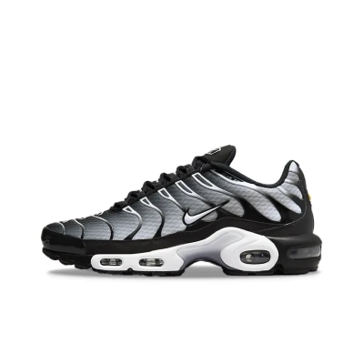 Nike Air Max Plus Black Silver White DM0032-003 01