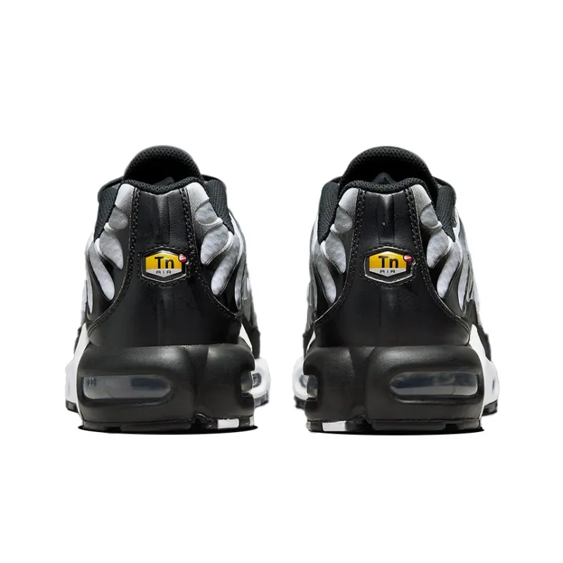 Nike Air Max Plus Black Silver White DM0032-003