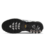 Nike Air Max Plus Black Silver White DM0032-003