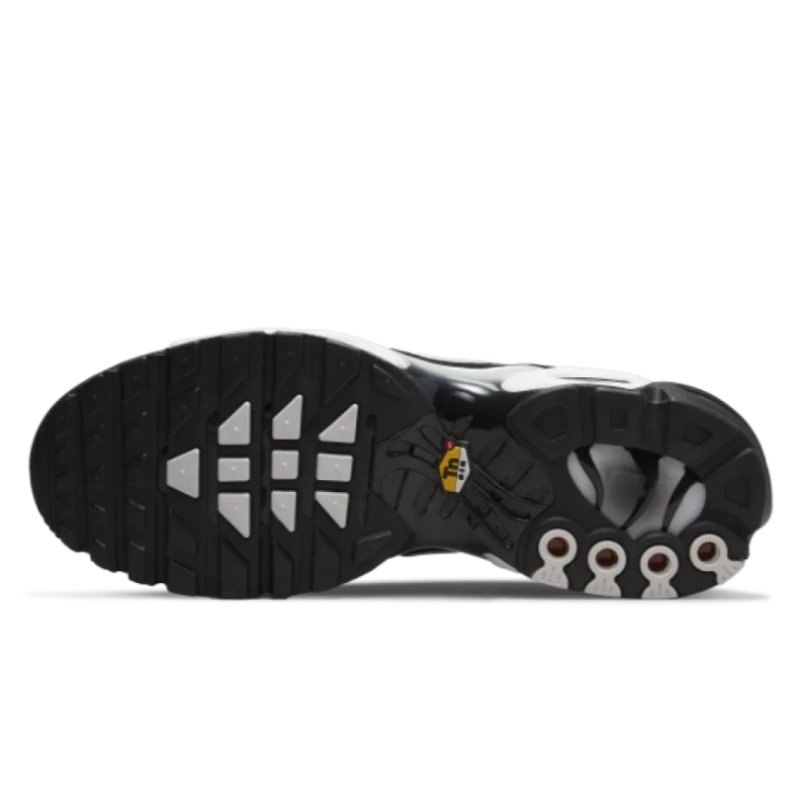 Nike Air Max Plus Black Silver White DM0032-003
