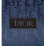 Dior Oblique Down Jacket Navy Blue Technical Jacquard