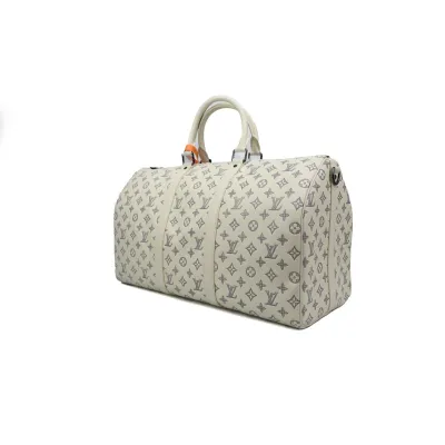 Louis Vuitton  keepall 50  01