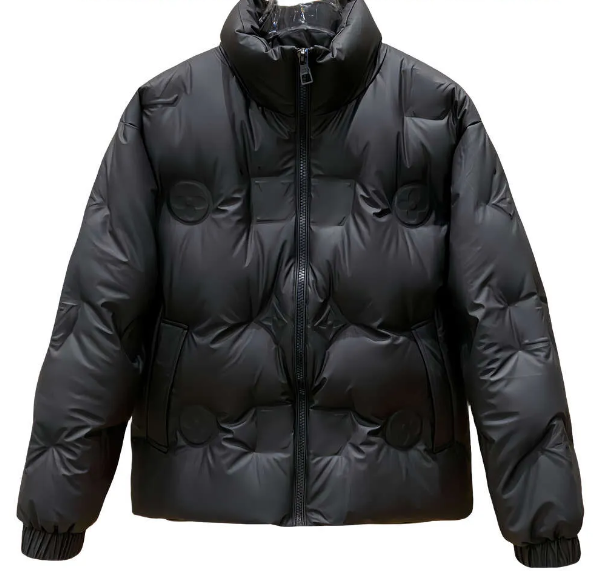 Louis Vuitton LV Down Jacket Black