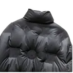 Louis Vuitton LV Down Jacket Black
