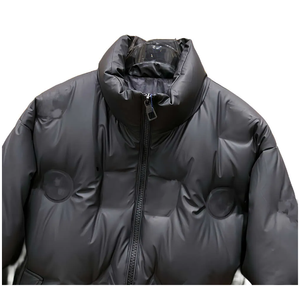 Louis Vuitton LV Down Jacket Black