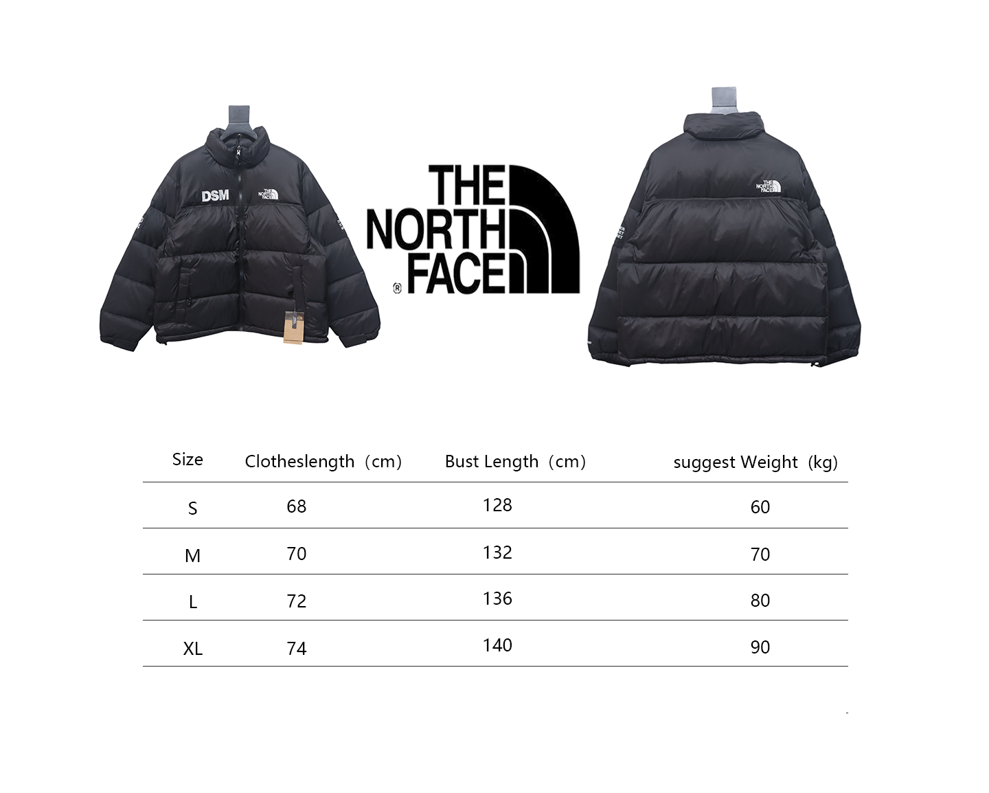 The North Face DSM Dover street market nuptse jacket