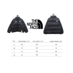 The North Face DSM Dover street market nuptse jacket
