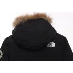 The North Face Japan Limited GORE-TEX polar Down Jacket