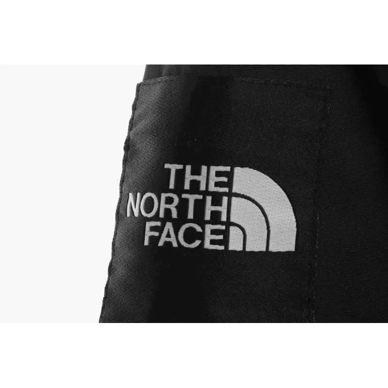 The North Face Japan Limited GORE-TEX polar Down Jacket
