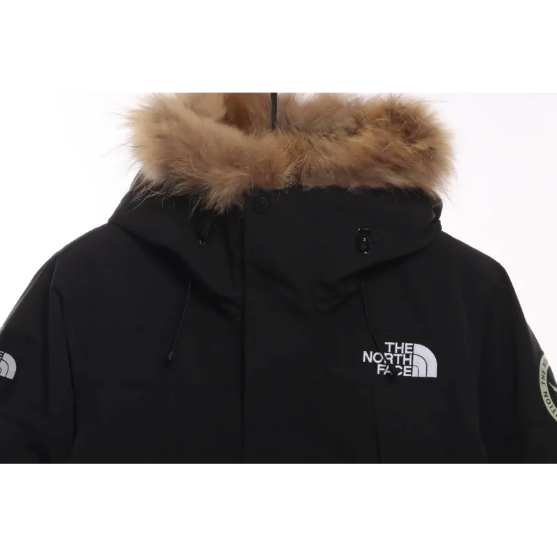 The North Face Japan Limited GORE-TEX polar Down Jacket