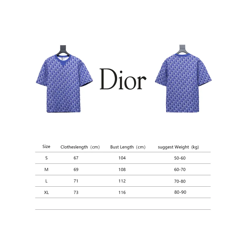 Dior Oblique Relaxed Fit T Shirt Terry Cotton Jersey Blue