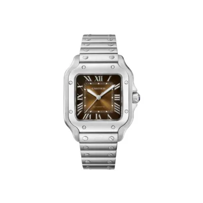 Pkstockx Cartier Santos De Cartier Automatic Medium Brown Dial Steel Women's Watch WSSA0065 01