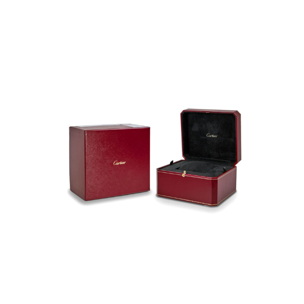 Pkstockx Cartier Santos De Cartier Medium Automatic Men's Watch WSSA0029