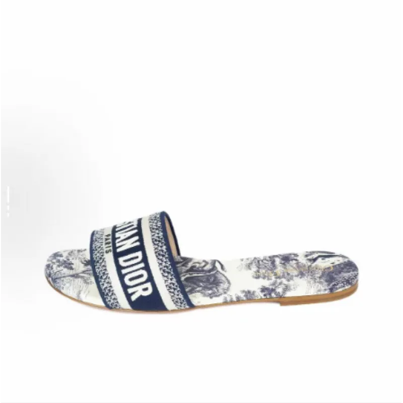 Dior Classic Dway Slide Rose Blue