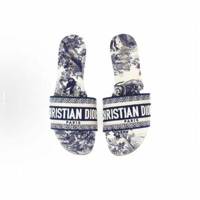 Dior Classic Dway Slide Rose Blue 02