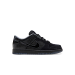 PK God Batch Nike Dunk Low Ducks of a Feather Black University of Oregon PE HV1470-001