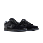 PK God Batch Nike Dunk Low Ducks of a Feather Black University of Oregon PE HV1470-001