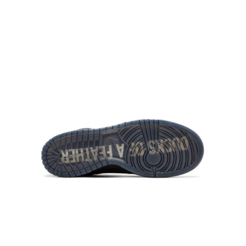 PK God Batch Nike Dunk Low Ducks of a Feather Black University of Oregon PE HV1470-001