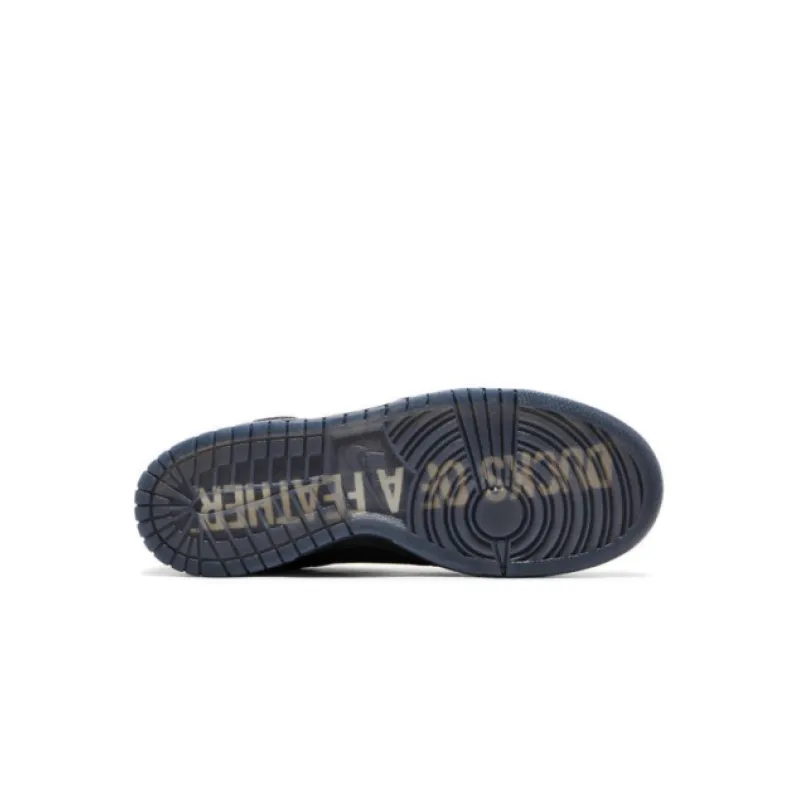 PK God Batch Nike Dunk Low Ducks of a Feather Black University of Oregon PE HV1470-001
