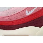 Nike Air Max 95 'Anatomy Of Air' DM0012-600