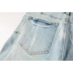 Purple Brand Denim Shorts PK5017