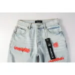 Purple Brand Denim Shorts PK5022