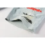Purple Brand Denim Shorts PK5022