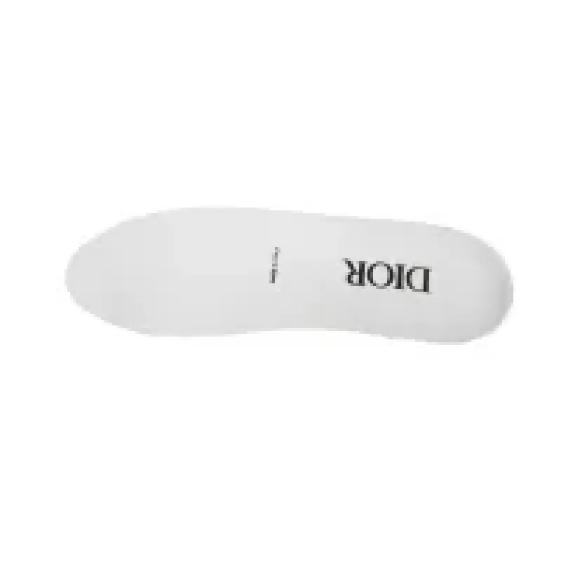 PK God Batch Dior B22 White Silver 3SN231YJG_H000