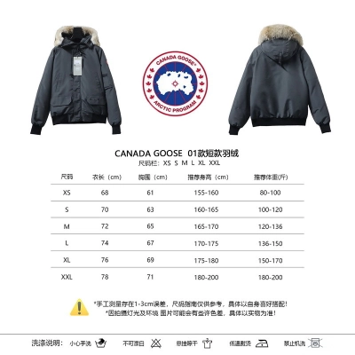  Canada Goose   Short   gray down jacket 02