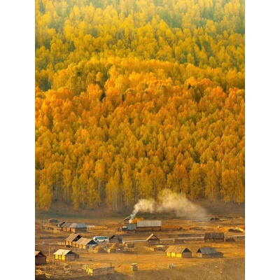 Lo**s Vui***n  B*g 01