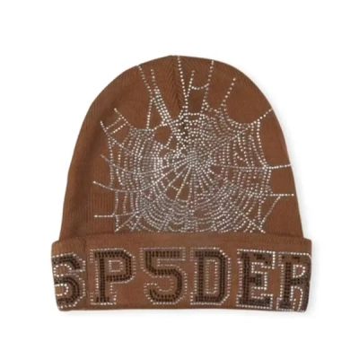 Sp5der Web Beanie Brown 01