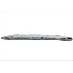 Loewe fringed scarf blue