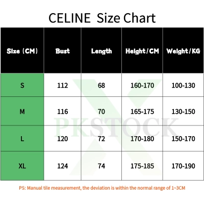 Celine Loose Sweatshirt In Cotton Fleece Light Grey 02