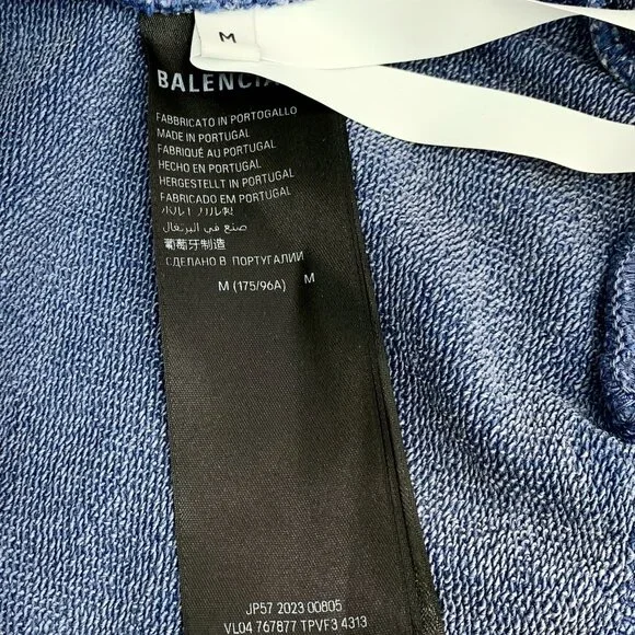 Balenciaga 2023 Graphic Print Hoodie Blue