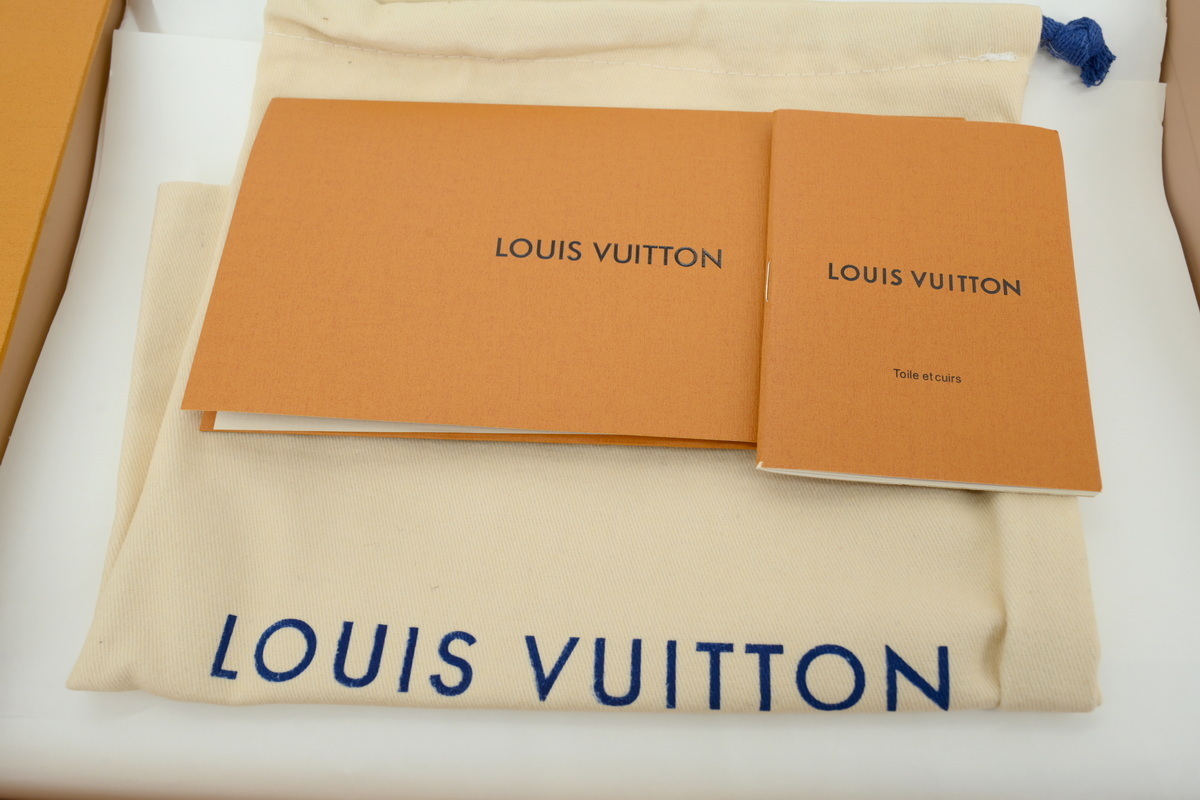 LOUIS VUITTON brown