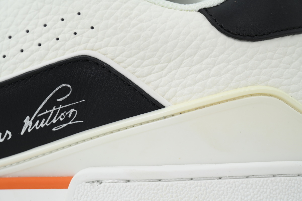 LOUIS VUITTON Skate shoes