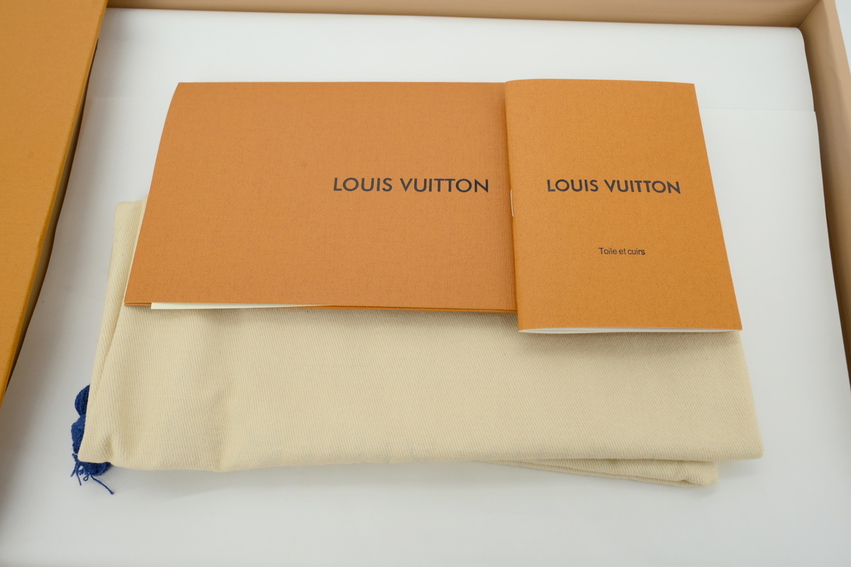 LOUIS VUITTON Skate shoes