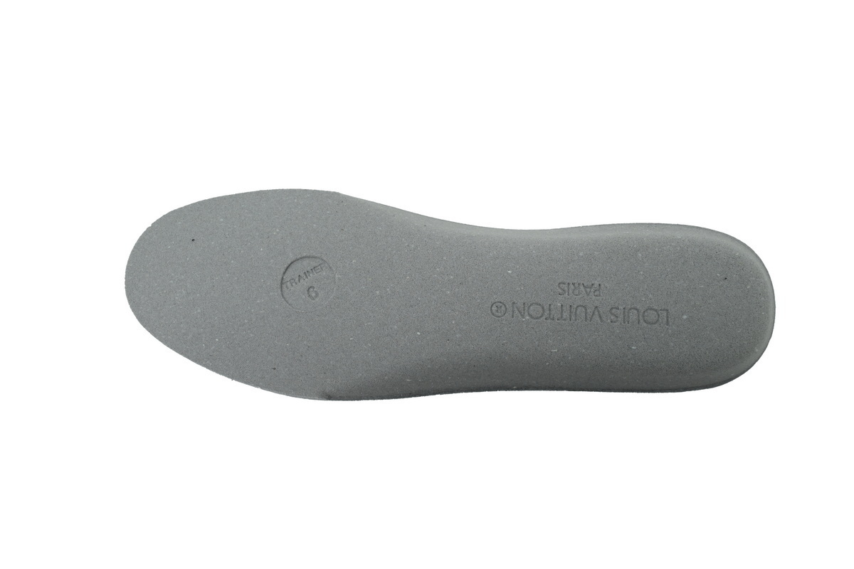 LOUIS VUITTON Skate shoes