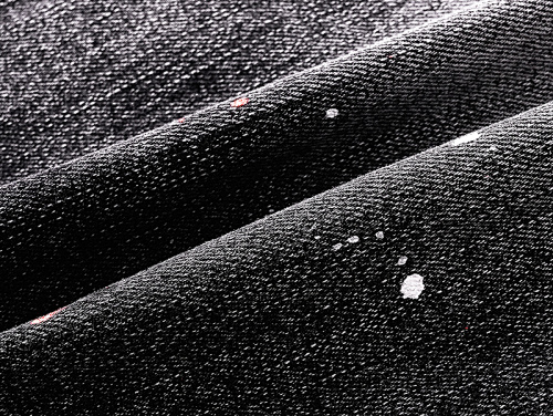  Purple Brand Denim Shorts PK521