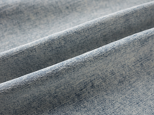 Purple Brand Denim Shorts PK507