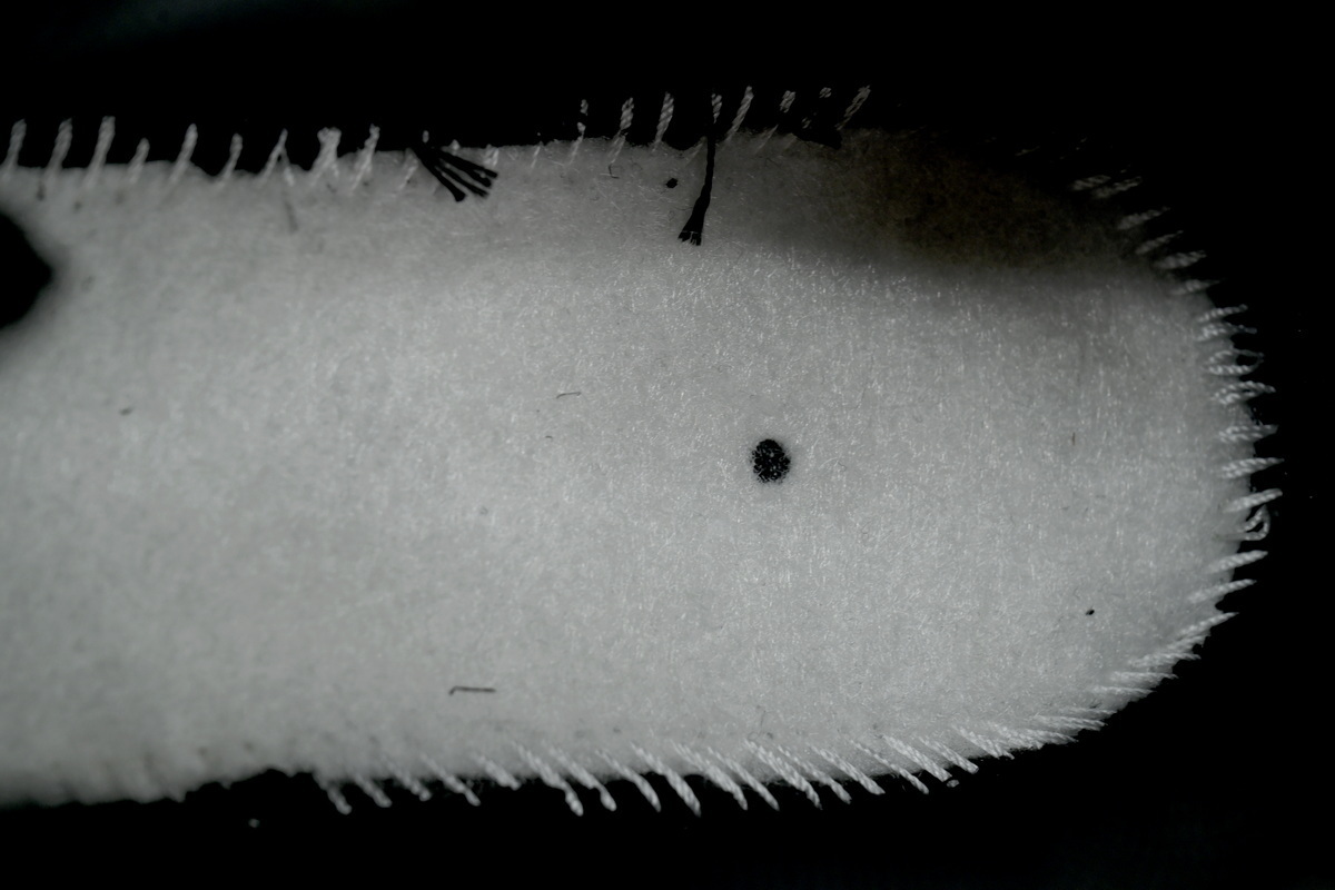 Levi's x Nike Air Max 95 OG 'Black Anthracite' HM4743-001 