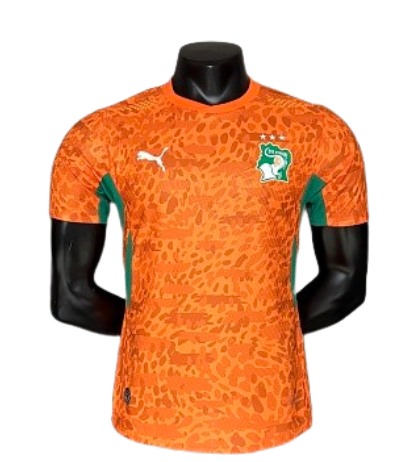 2026 Player Version Ivory Coast Jersey 